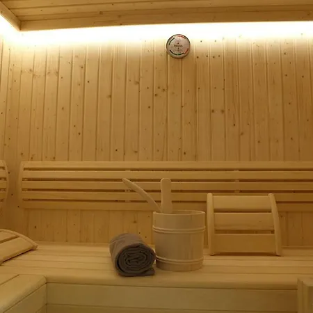 Kitzbuheler Alpen Residenz Top2 Hollersbach *