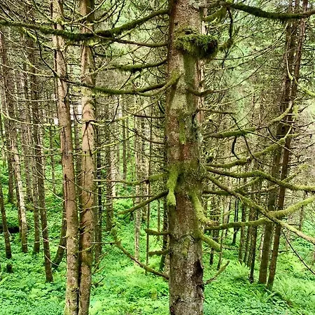 Kitzbuheler Alpen Residenz Top2 Hollersbach Apartament