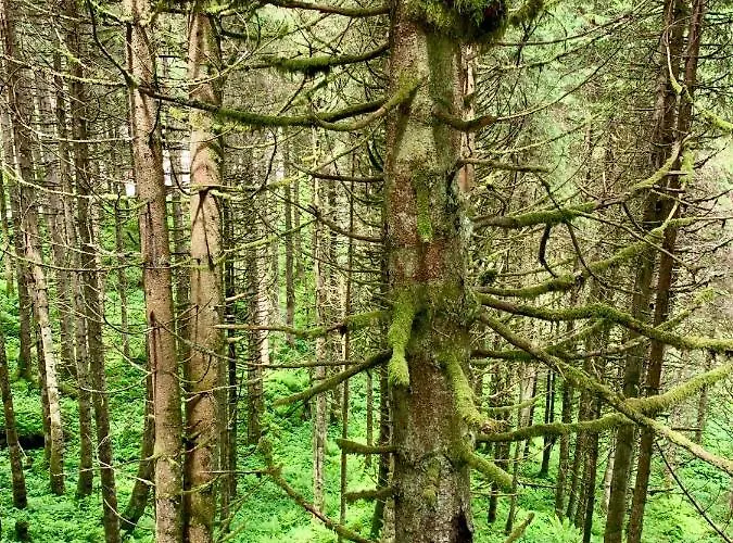 Kitzbuheler Alpen Residenz Top2 Hollersbach Apartment